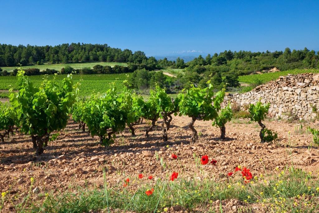 Hotel Logis - Restaurant La Marbrerie